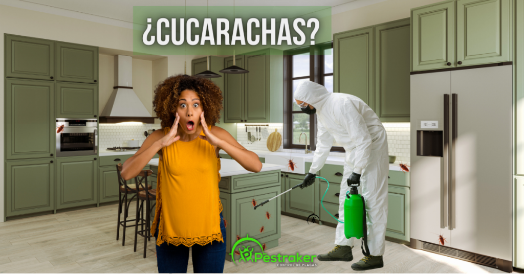 mujer asombrada por tanta cucaracha y un exterminador haciendo su trabajo en la cosina de la clienta